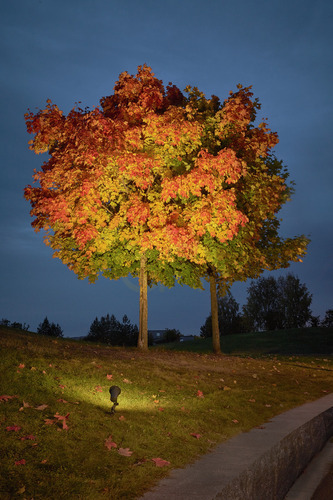 Sprawdź Reflektor zewnętrzny NORLYS Sande czarny RAL9005 1598BL