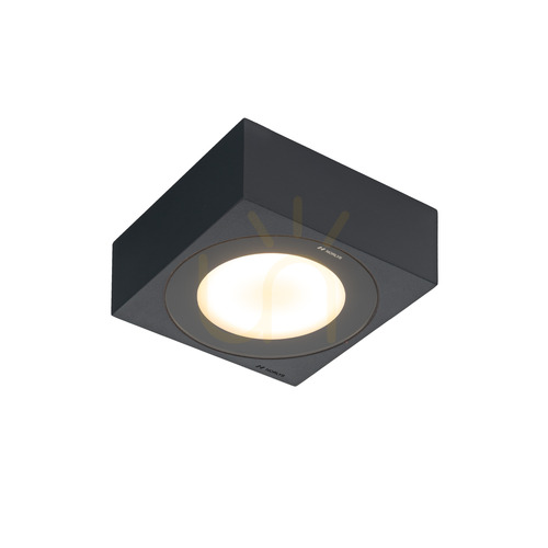 Sprawdź Plafon zewnętrzny Hitra 2461GR szary LED NORLYS